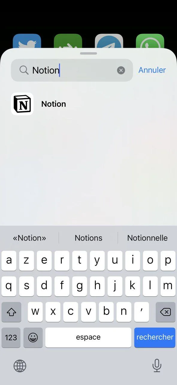 Configuration du widget Notion sur iOS
